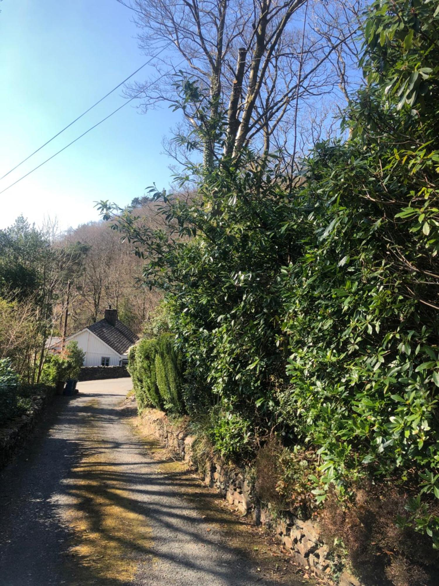 Snowdonia Mawddach Escape Villa Dolgellau Exterior foto